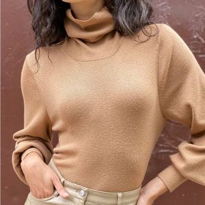 🆕ARITZIA WILFRED Rebecca Turtleneck Sweater Camel